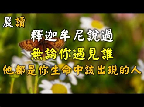 釋迦牟尼 無論你遇見誰|佛陀告訴你：遇見的意義